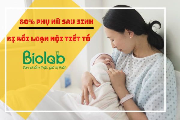 bổ sung thực phẩm cải thiện tình trạng suy giảm nội tiết tố