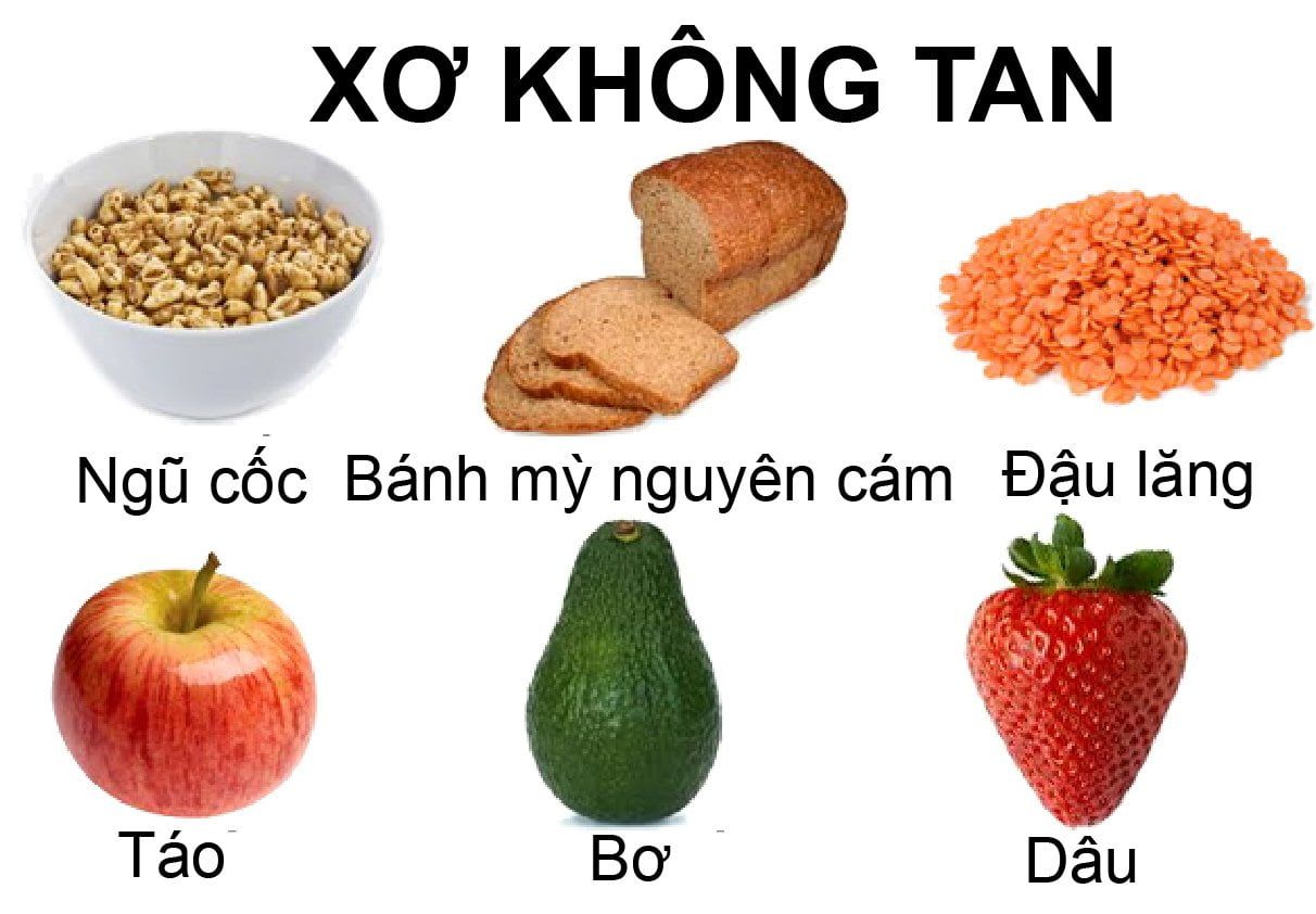 chất xơ không hoà tan và lợi ích