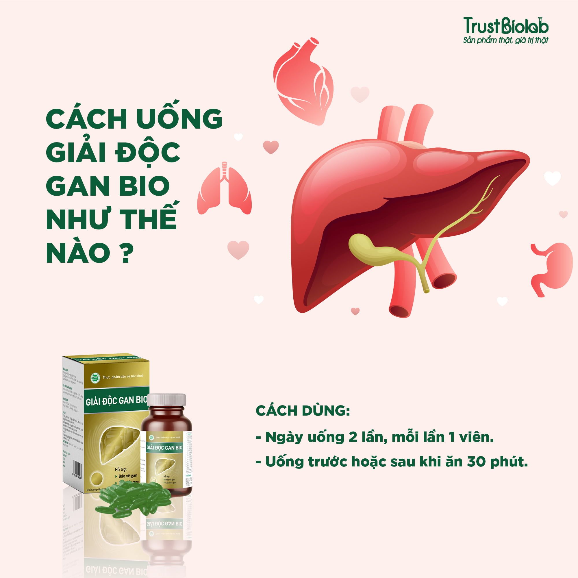 Thực phẩm bảo vệ sức khỏe Giải Độc Gan Bio Hỗ trợ giải độc gan, mát gan, giúp bảo vệ gan; Hỗ trợ tăng cường chức năng gan; Hỗ trợ giảm các triệu chứng mẩn ngứa, vàng da, men gan cao, chán ăn do chức năng gan kém